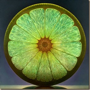 02-Dennis-Wojtkiewicz-fruit_2