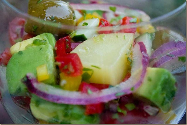 vegan-ceviche-finished03