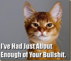 Ive-Had-Just-About-Enough-of-Your-Bullshit-1phygvc