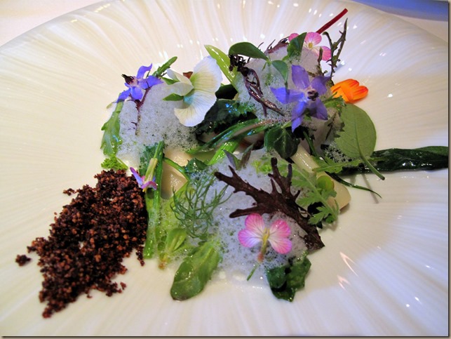 manresa-into-the-vegetable-gardene280a6-7