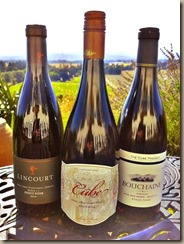 Cube-Image-Three-Bottles1