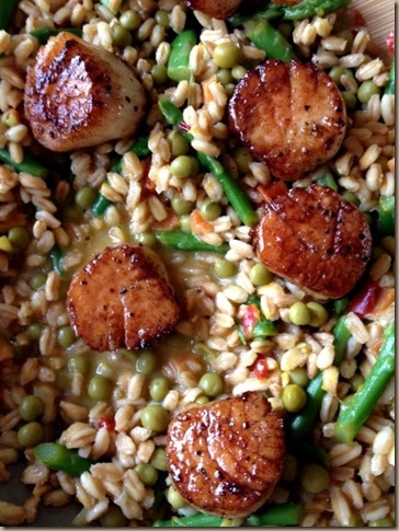 seared scallops seared scallops