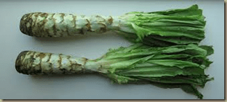 celtuce