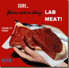 in vitro meat