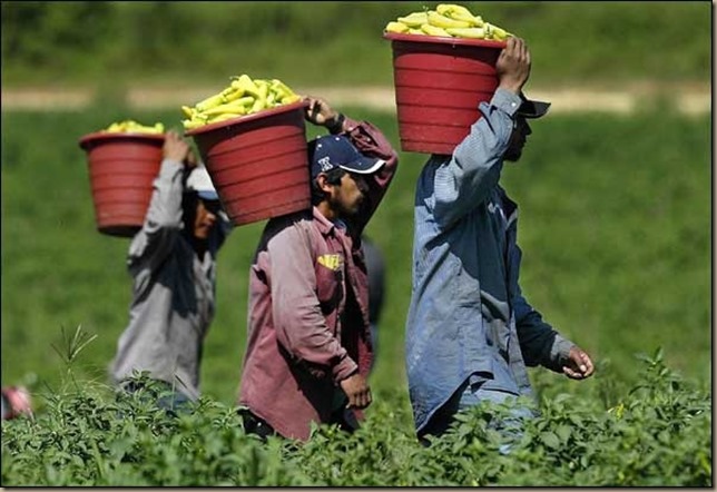 farmworkers