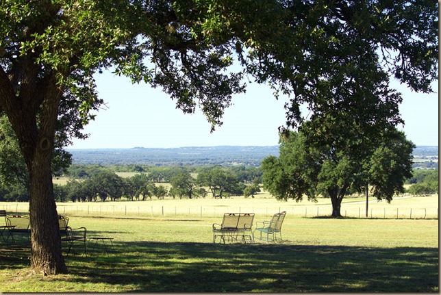 view-from-pedernales