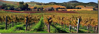 california vineyards