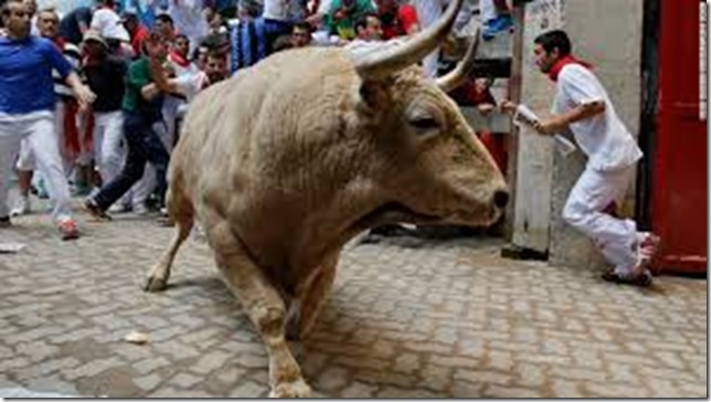 pamplona bull