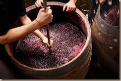artisan winemaking
