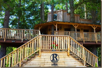 rogue-tree-house
