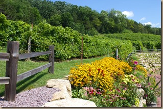 wisconsin-wollersheim