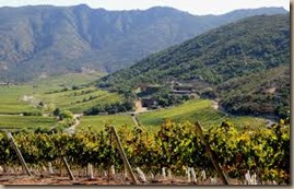 chile wine region