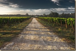 country-lane-428039__340