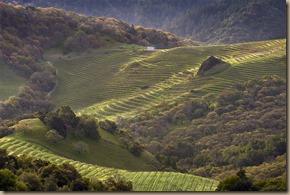 Cain winery; Cain Five; Napa; Napa County; California; USA; North America