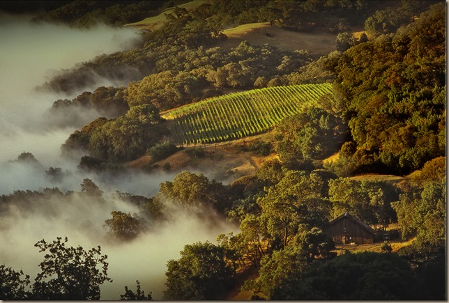 Cain spring mountain Charles Orear