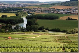 Champagne_Vineyards