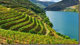 dalmation coast dalmatian coast