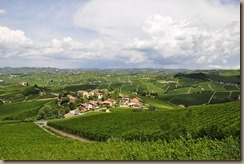 vineyards-3094144__340
