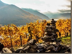 autumn-3199749_960_720