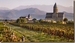 georgian vineyards