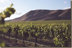 photo-1464036388609-747537735eab