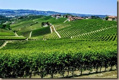 barbaresco