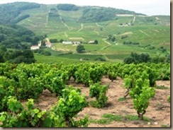 beaujolais