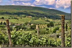 tuscany-2194879_960_720