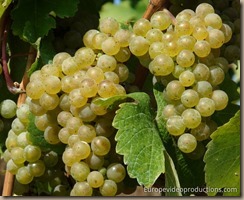 mosel-region-moselle-valley-germany