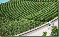 photo-1471371827413-56b58af644aa