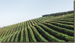 photo-1503427128716-12b0ed4822bb