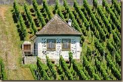 landscape-1524808_960_720