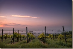 photo-1464638681273-0962e9b53566