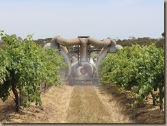 Fungicide-Spraying-03