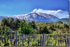 mt-etna-vineyards