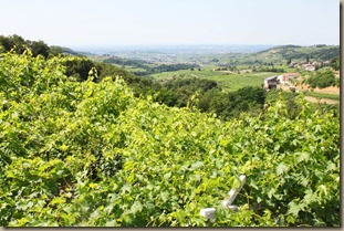 pergola-seaedit pergola-seaedit