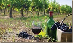 wine tourism