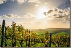 pexels-photo-1277181