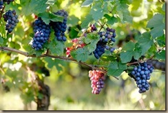 photo-1502624753130-3bfbdf71c320