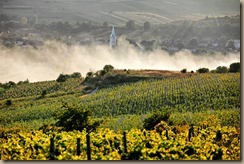 romania-liliac-winery-