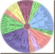 wine flavor wheel