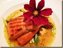 salmon-and-rhubarb-edit