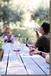 wine-tasting-1952074_960_720
