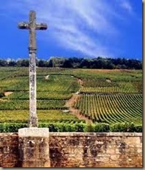 romanee conti vineyard