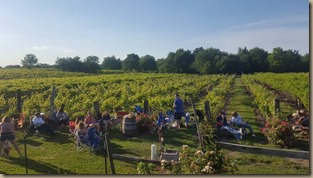 holy field vineyard