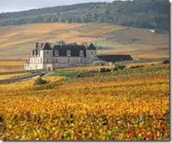 clos de vougeot