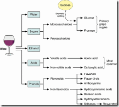 wine structure