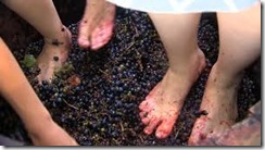 grape stomping