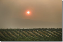 California Wildfires-Wine Country