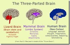 triune brain
